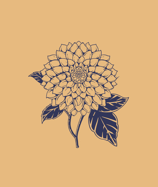 Dahlia Tuber - Beatrice *Restocking Spring 2026*